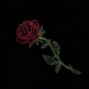 Meet your Posher, Daniela